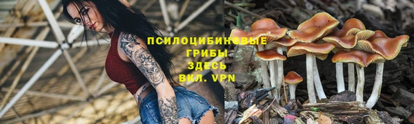 круглые Армянск