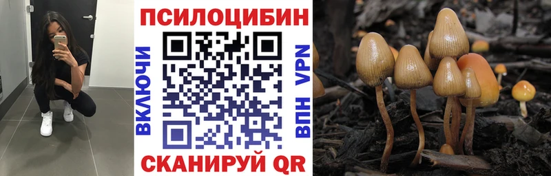 MEGA ссылка  мориарти телеграм  Галлюциногенные грибы прущие грибы  что такое   Поворино 