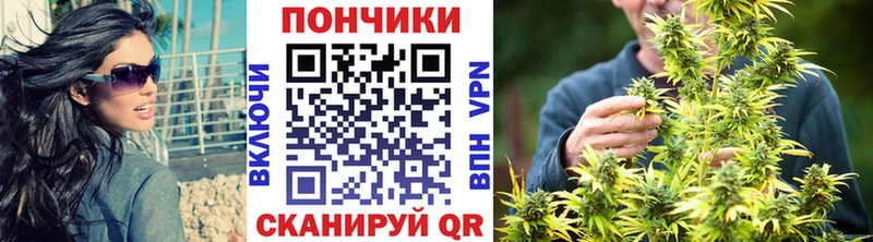 Канабис индика  ссылка на мегу зеркало  Поворино  дарнет шоп 